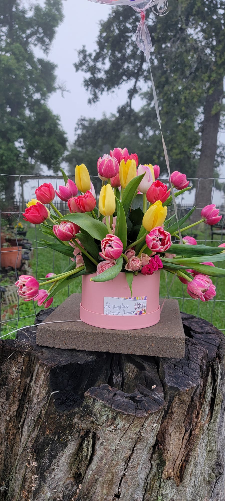 tulip arrangement